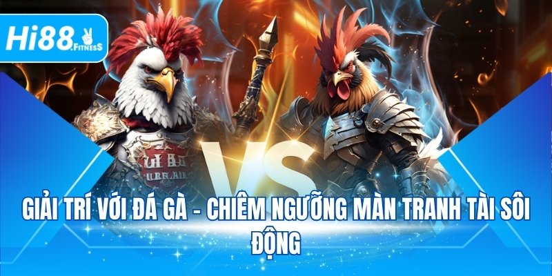 Giải trí với đá gà - Chiêm ngưỡng màn tranh tài sôi động